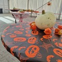 20241023_095522 (Large).jpg